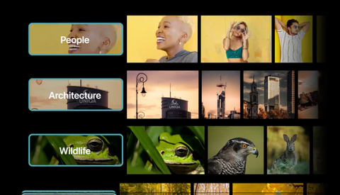 Mac Photo-Cataloging App Peakto Gets Major Speed Boost