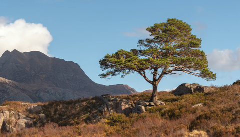 Essential Photography Lessons to Learn Early