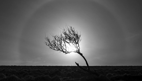 Simplify Your Scenes for Stronger Photos