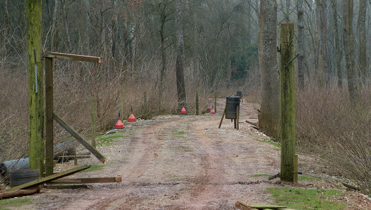 Poachers Posed as Wildlife Photographers to Illegally Hunt Deer