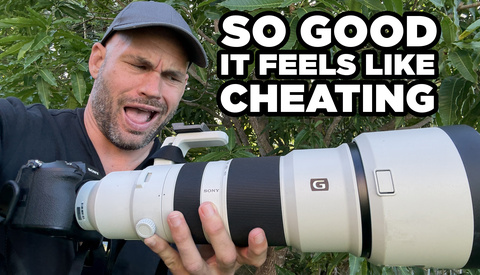 The Best Camera/Lens For Wildlife Photography Today