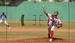 Pro Strategies for Sports Photography