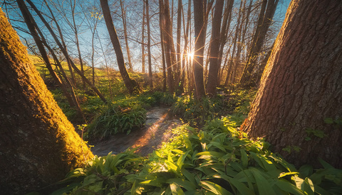 How to Enhance Images With Midtones Contrast