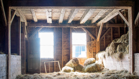 Photographing the Restoration of a Historical American Landmark